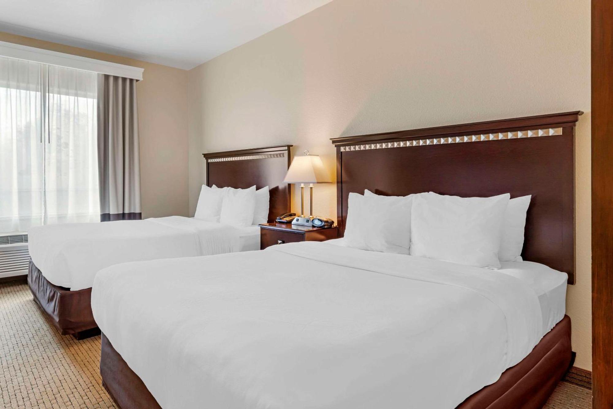 פלסטין Comfort Suites מראה חיצוני תמונה