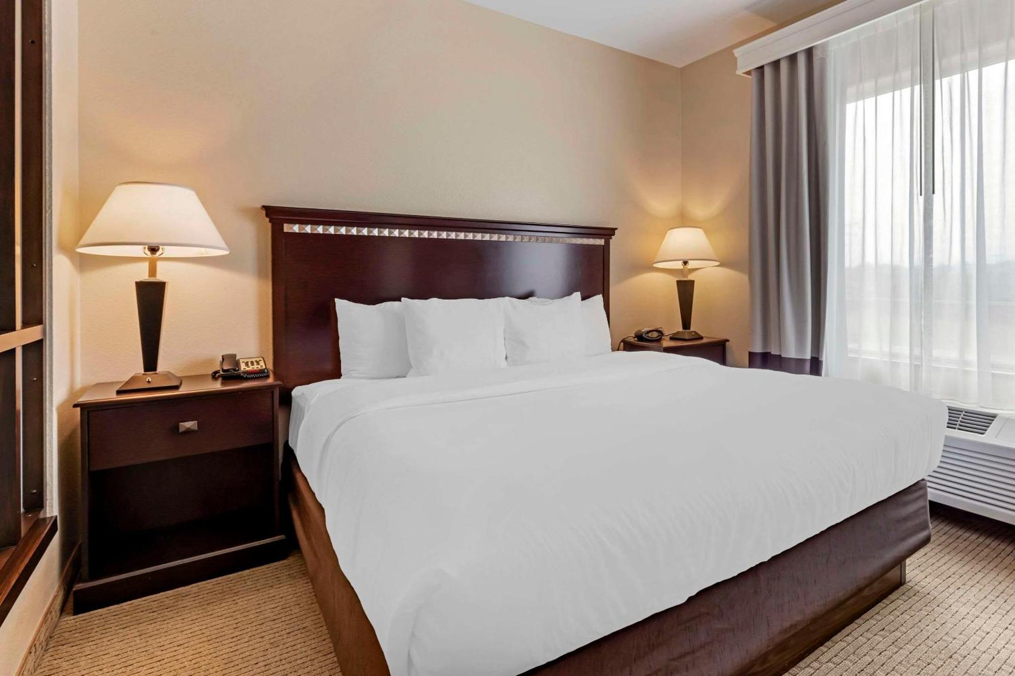 פלסטין Comfort Suites מראה חיצוני תמונה